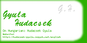 gyula hudacsek business card